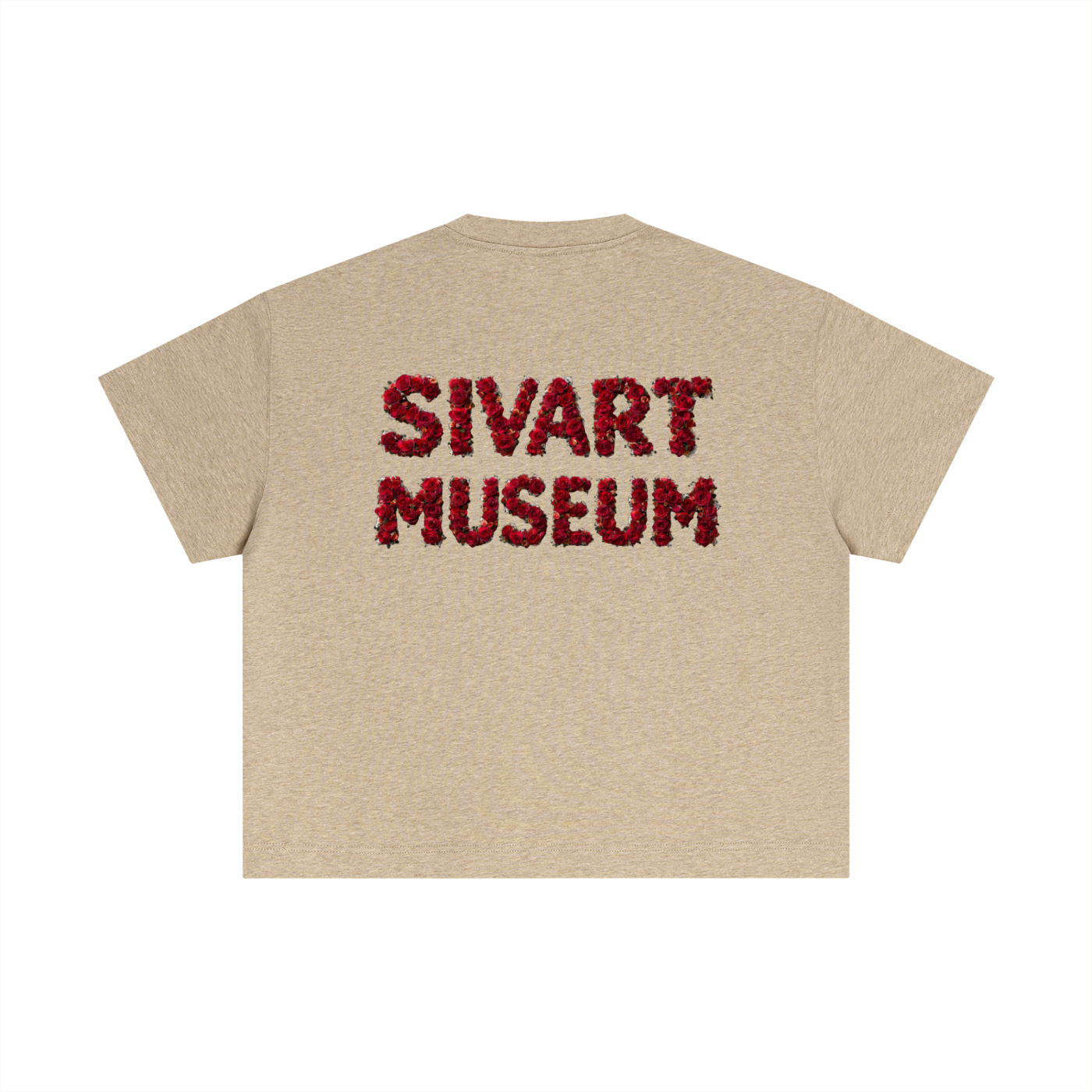 Sivart Museum Cotton Boxy T
