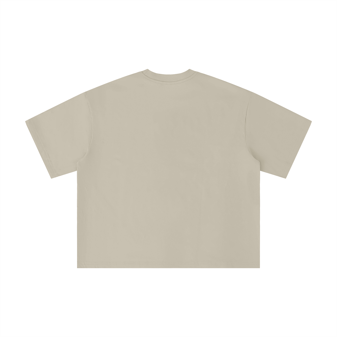 Sivart Museum Unisex Boxy Oversized T