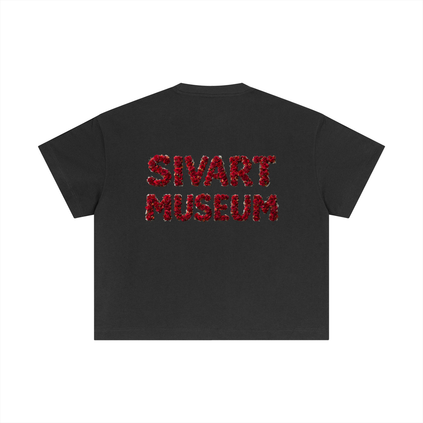 Sivart Museum Cotton Boxy T