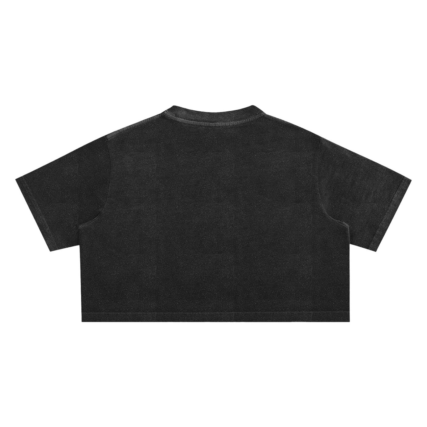 Sivart Museum Women Snow Washed Crop Top