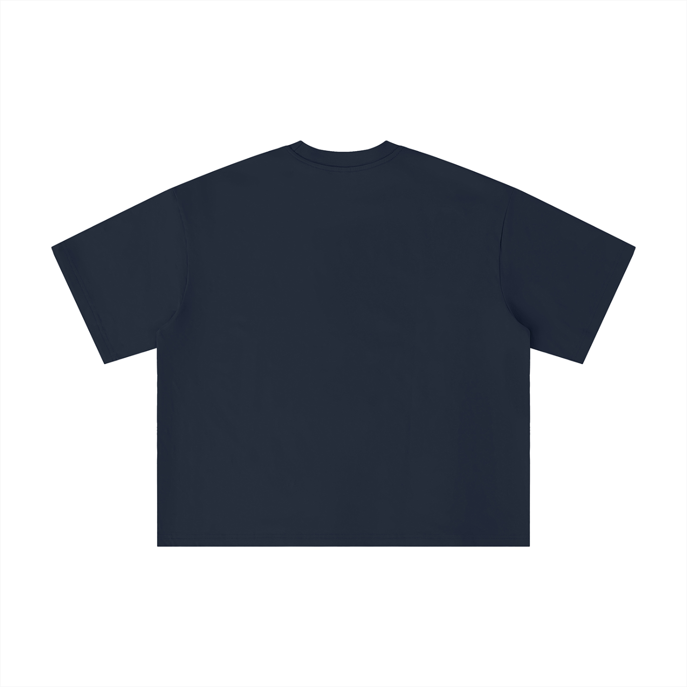 Sivart Museum Unisex Boxy Oversized T
