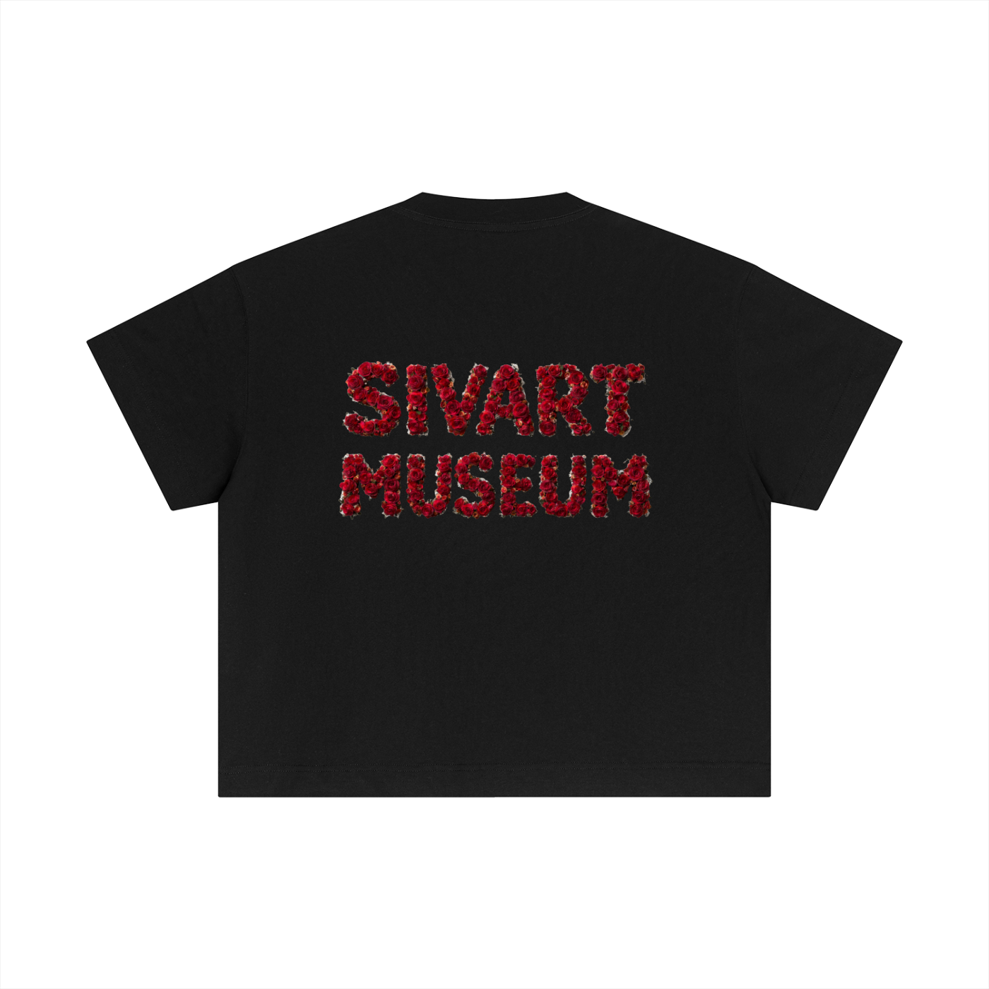 Sivart Museum Cotton Boxy T